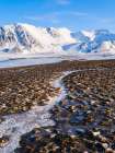 Coastal plain of Nordenskiold Coast Island of Spitsbergen Arctic region-Scandinavia-Norway Art Print
